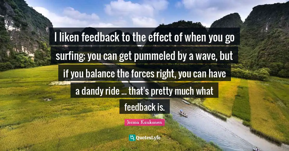 I liken feedback to the effect of when you go surfing; you can get pummeled by a wave, but if you balance the forces right, you can have a dandy ride ... that's pretty much what feedback is.