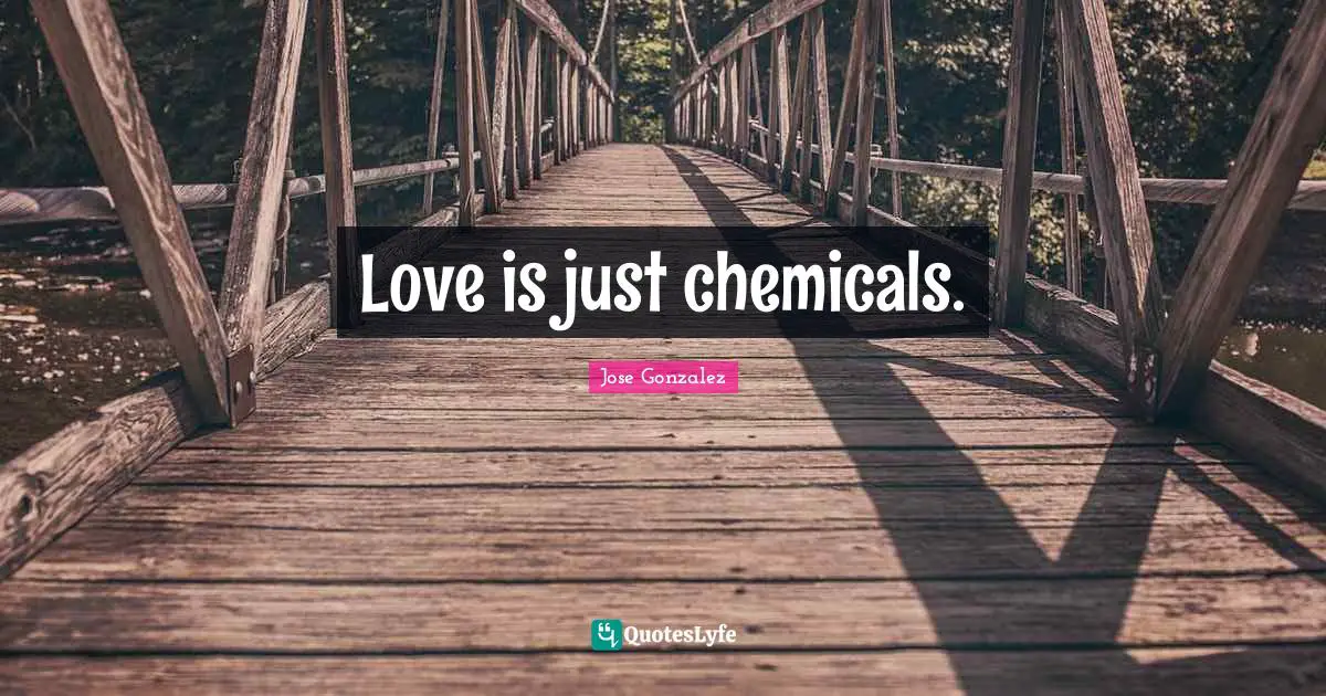 Love is just chemicals.