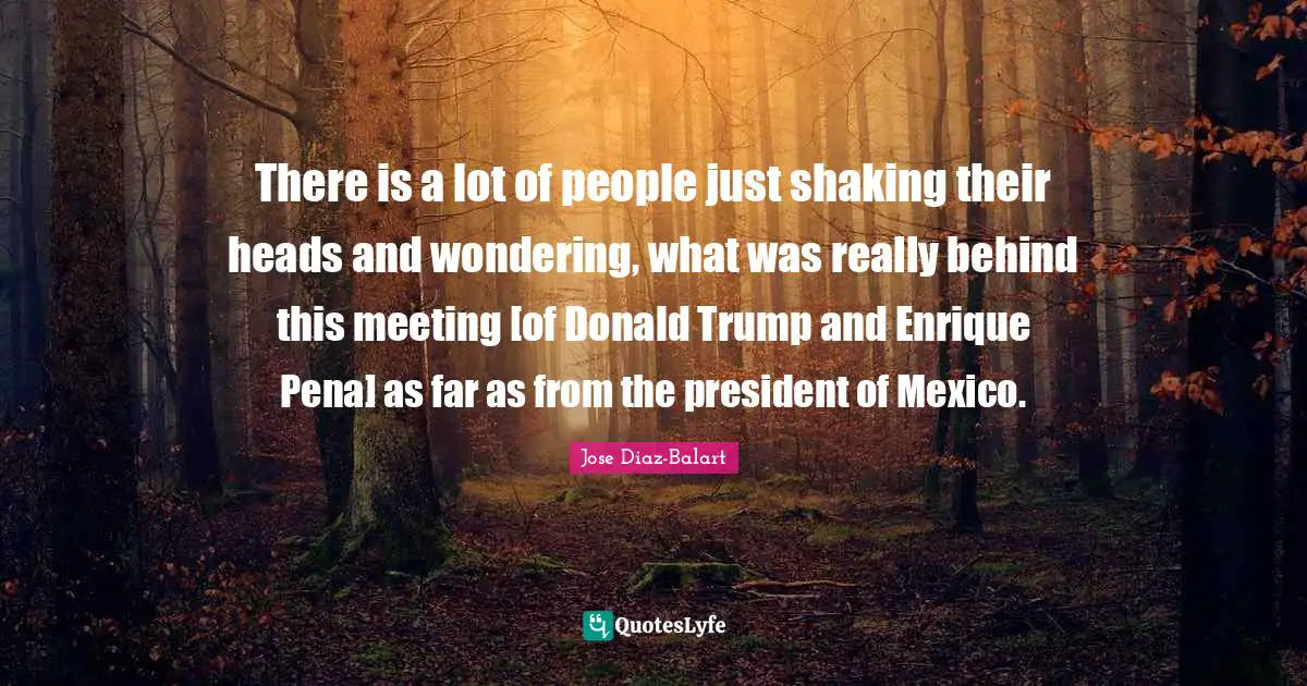 There is a lot of people just shaking their heads and wondering, what was really behind this meeting [of Donald Trump and Enrique Pena] as far as from the president of Mexico.