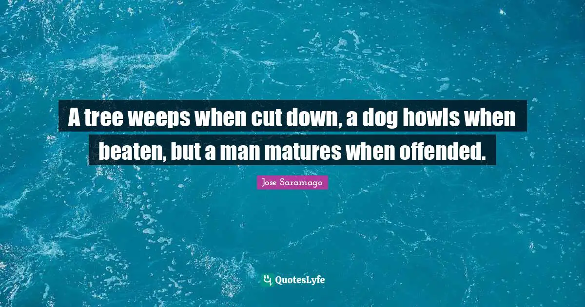A tree weeps when cut down, a dog howls when beaten, but a man matures when offended.