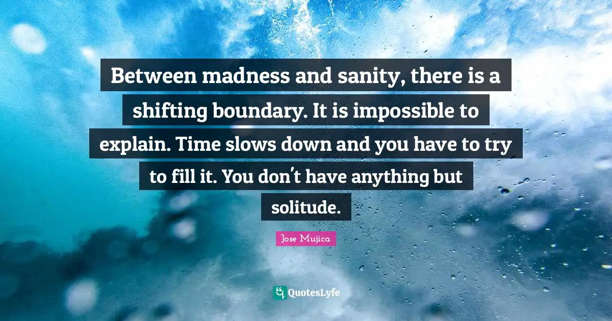 Jose Mujica Quotes: "Between madness and sanity, there is a shifting boundary. It is impossible to explain. Time slows down and you have to try to fill it. You don't have anything but solitude."