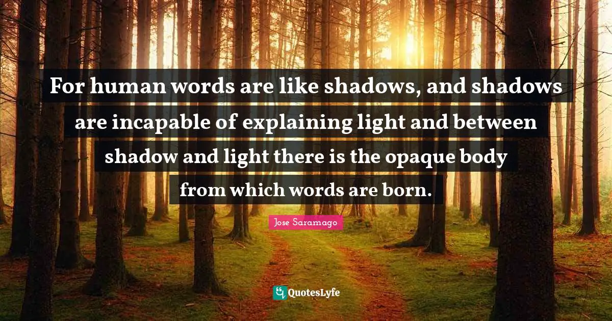 Opaque Quotes: "For human words are like shadows, and shadows are incapable of explaining light and between shadow and light there is the opaque body from which words are born."