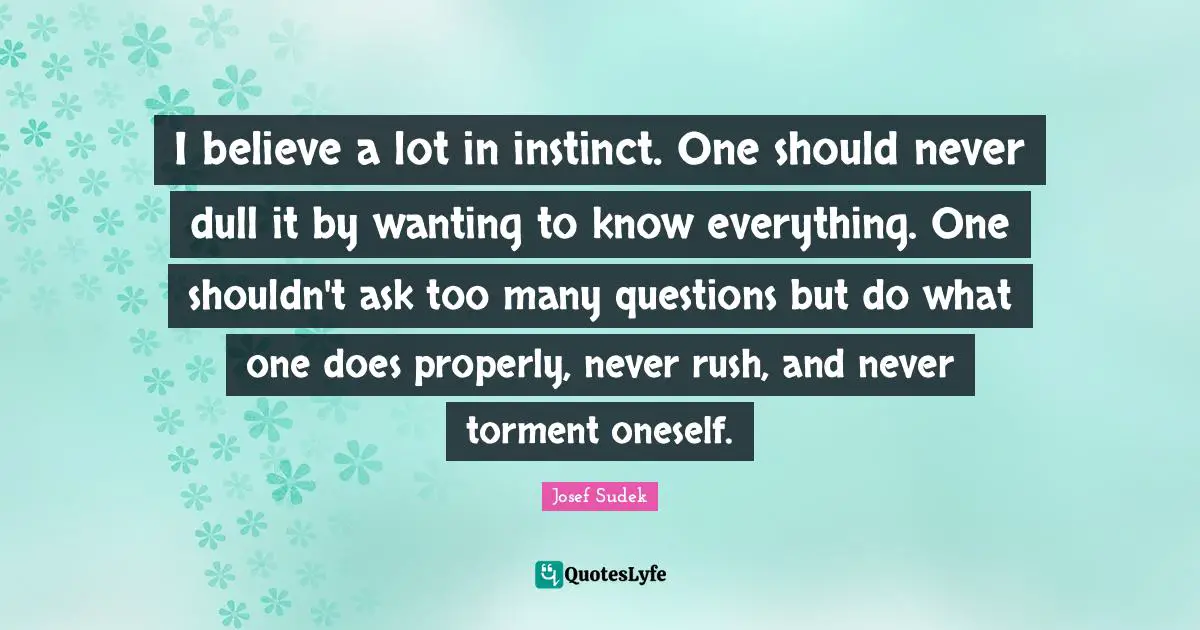 I believe a lot in instinct. One should never dull it by wanting to know everything. One shouldn't ask too many questions but do what one does properly, never rush, and never torment oneself.