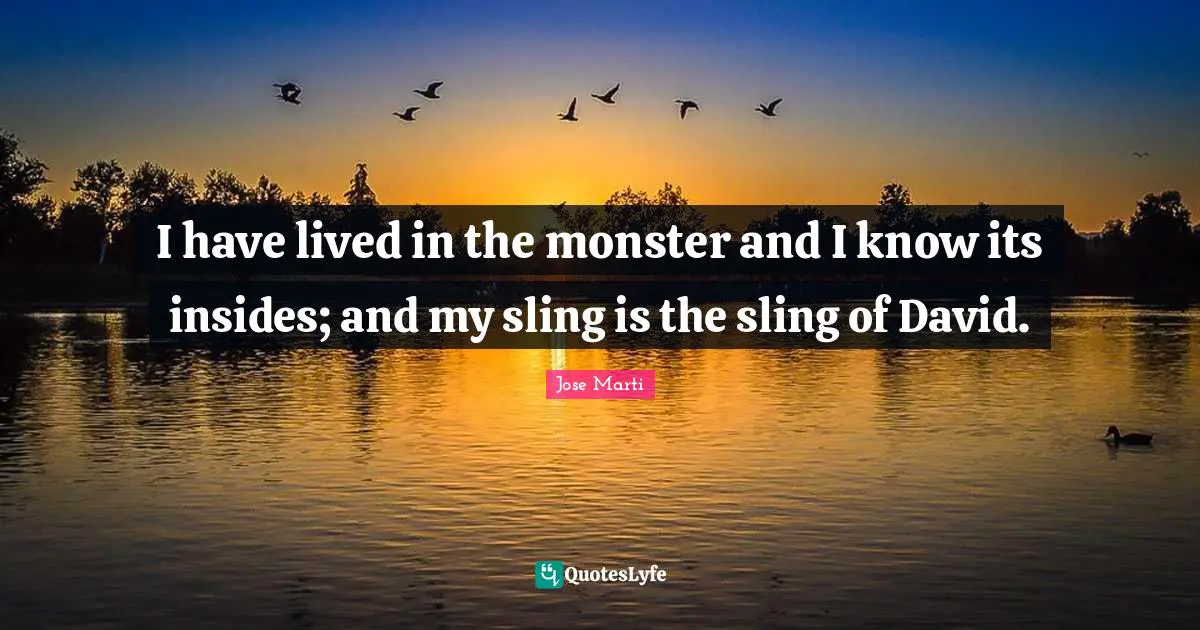 I have lived in the monster and I know its insides; and my sling is the sling of David.