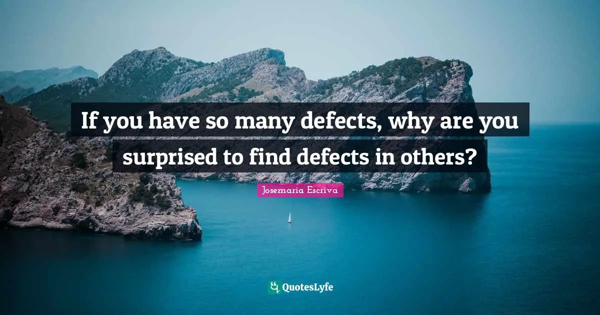 If you have so many defects, why are you surprised to find defects in others?