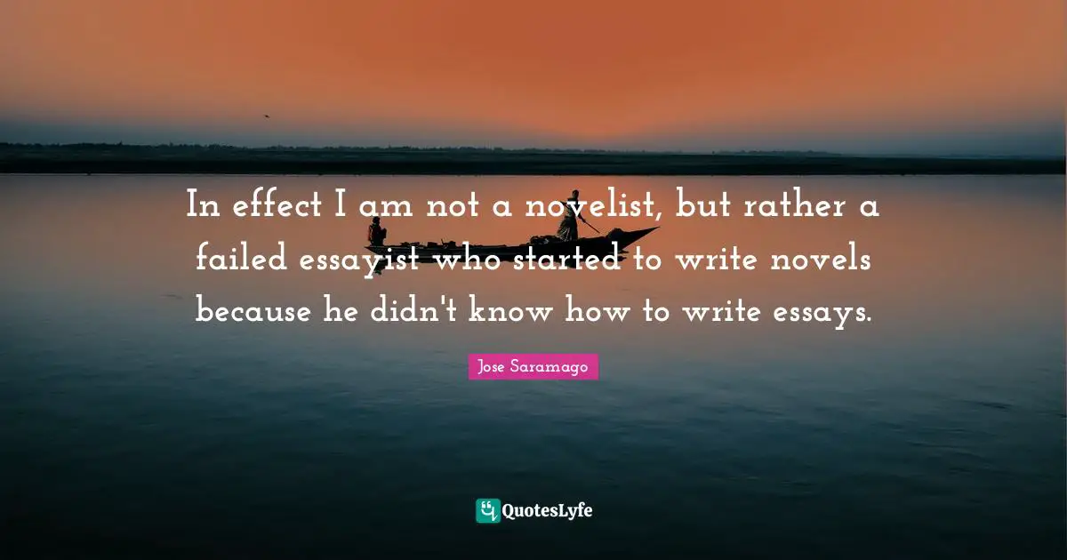 In effect I am not a novelist, but rather a failed essayist who started to write novels because he didn't know how to write essays.