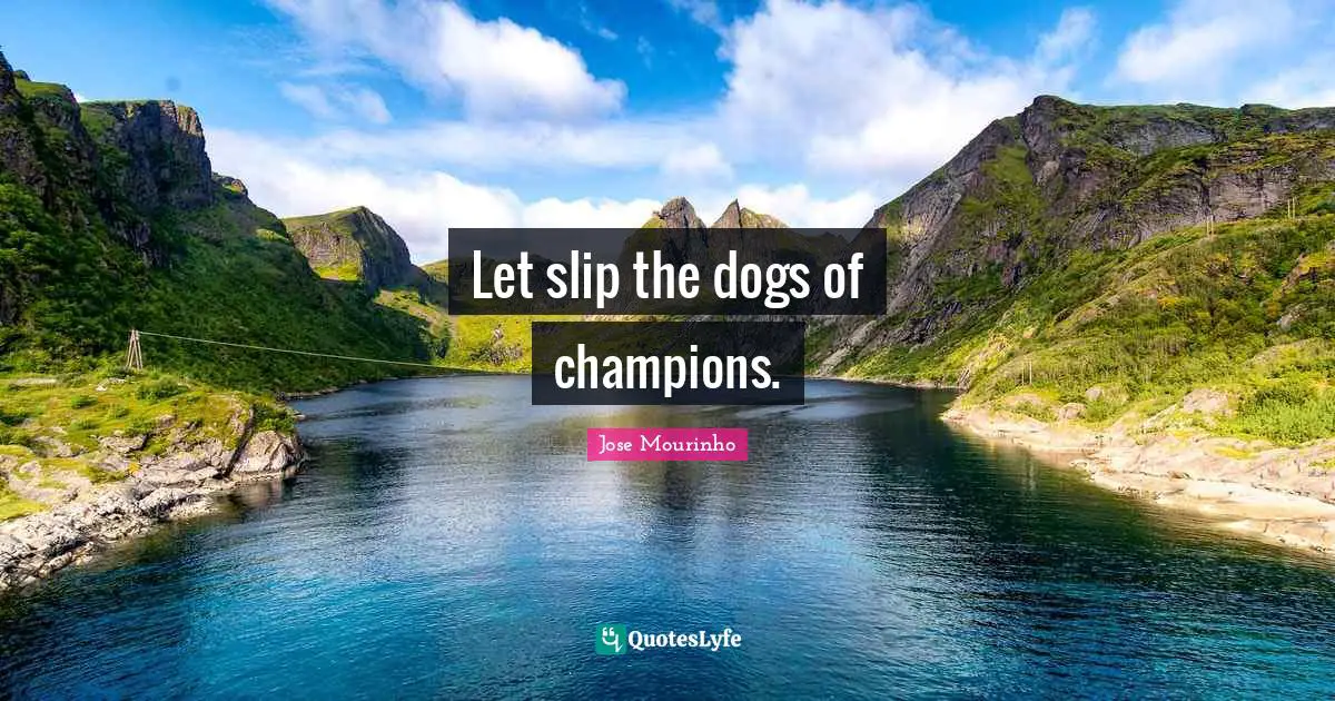 Let slip the dogs of champions.