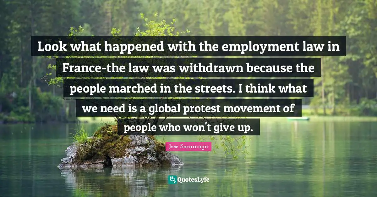 Won T Give Up Quotes: "Look what happened with the employment law in France-the law was withdrawn because the people marched in the streets. I think what we need is a global protest movement of people who won't give up."