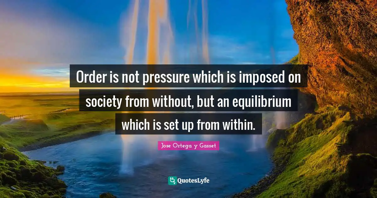 Order is not pressure which is imposed on society from without, but an equilibrium which is set up from within.