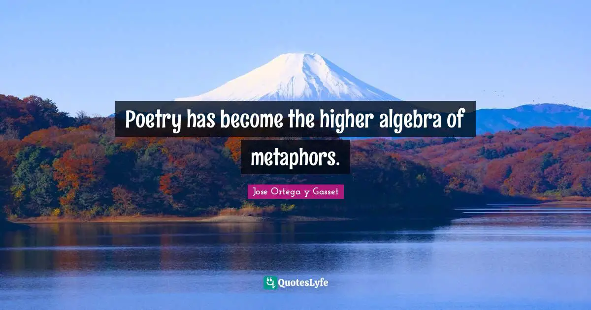Poetry has become the higher algebra of metaphors.