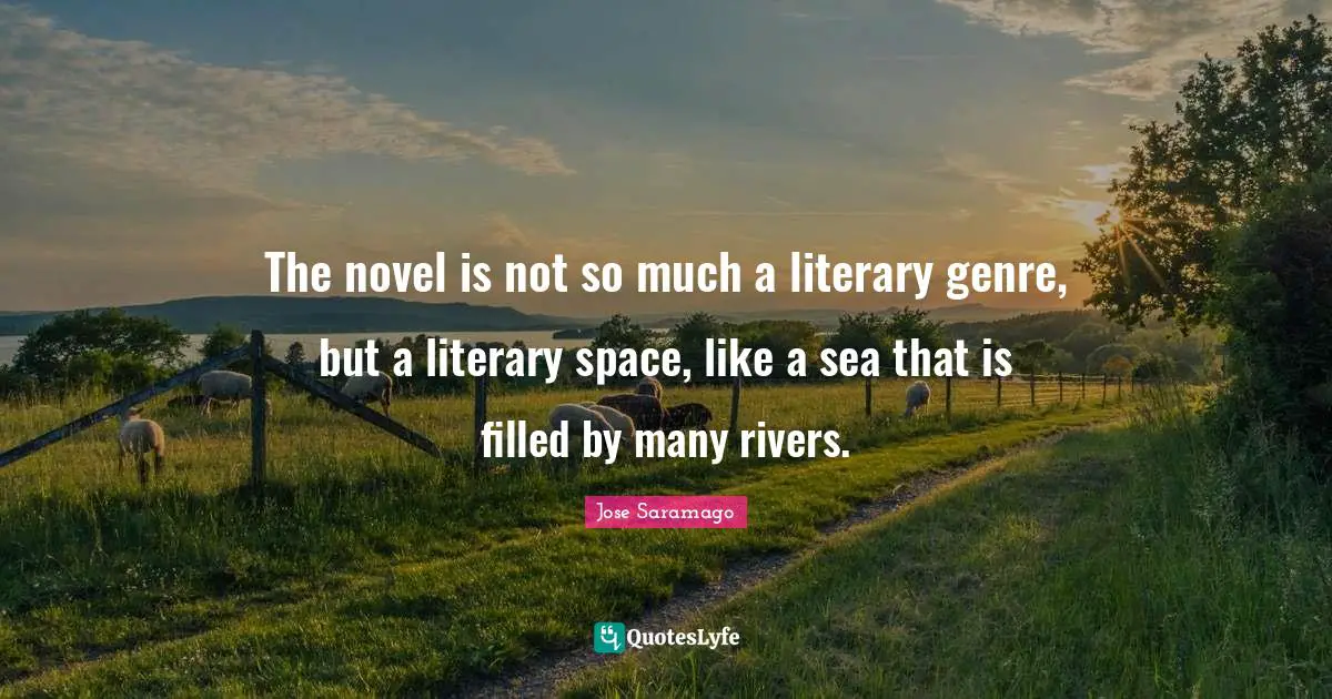 Novel Quotes: "The novel is not so much a literary genre, but a literary space, like a sea that is filled by many rivers."