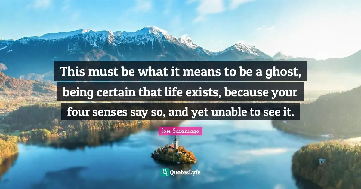 This must be what it means to be a ghost, being certain that life exists, because your four senses say so, and yet unable to see it.