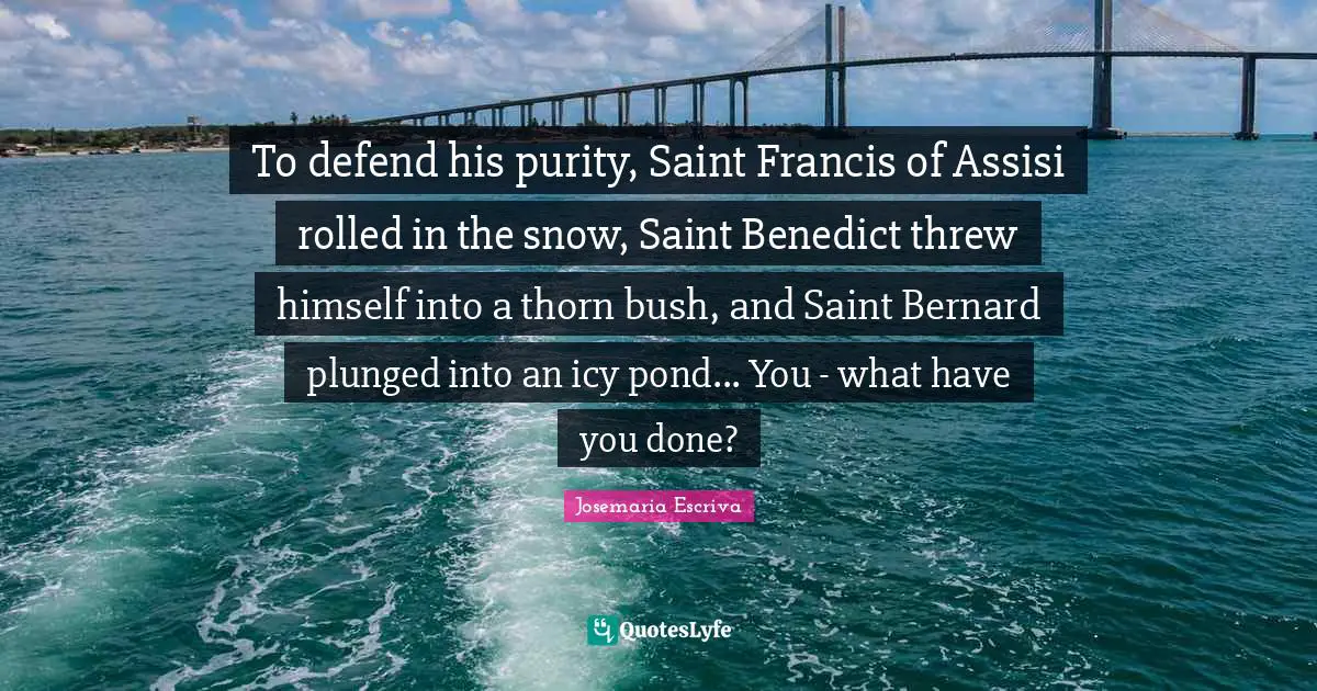 Saint Quotes: "To defend his purity, Saint Francis of Assisi rolled in the snow, Saint Benedict threw himself into a thorn bush, and Saint Bernard plunged into an icy pond... You - what have you done?"