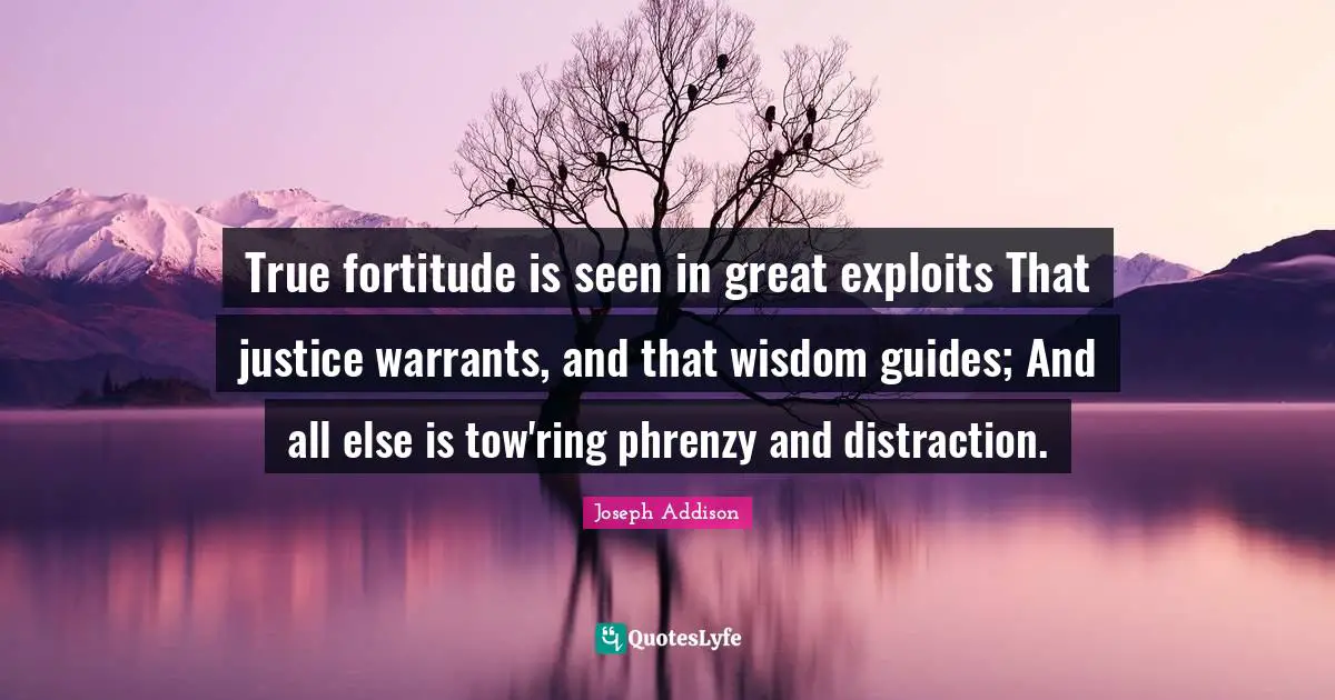 True fortitude is seen in great exploits That justice warrants, and that wisdom guides; And all else is tow'ring phrenzy and distraction.