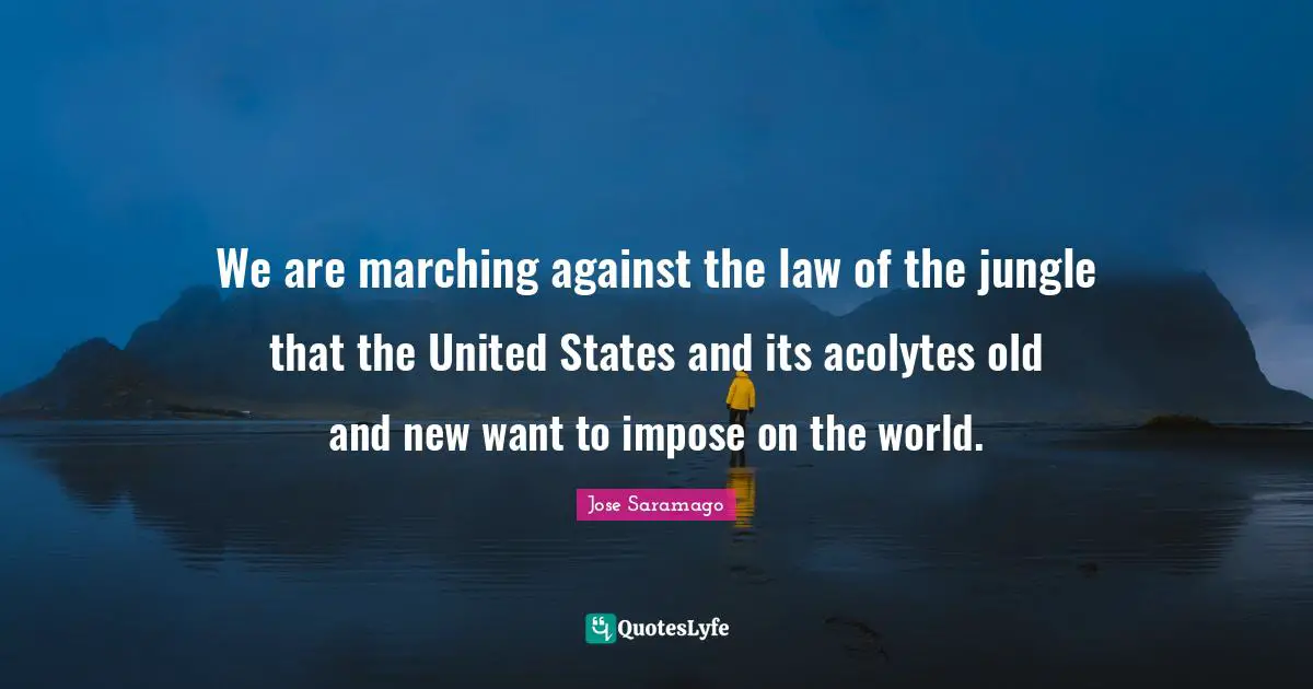 We are marching against the law of the jungle that the United States and its acolytes old and new want to impose on the world.