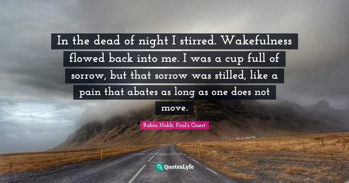 In the dead of night I stirred. Wakefulness flowed back into me. I was a cup full of sorrow, but that sorrow was stilled, like a pain that abates as long as one does not move.