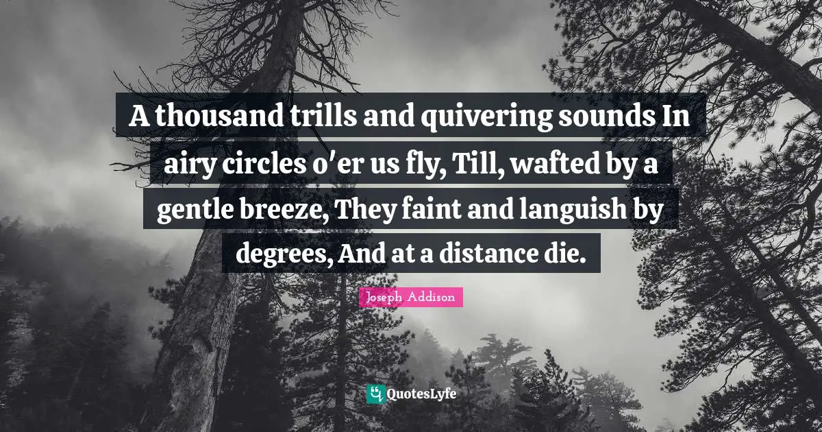 A thousand trills and quivering sounds In airy circles o'er us fly, Till, wafted by a gentle breeze, They faint and languish by degrees, And at a distance die.