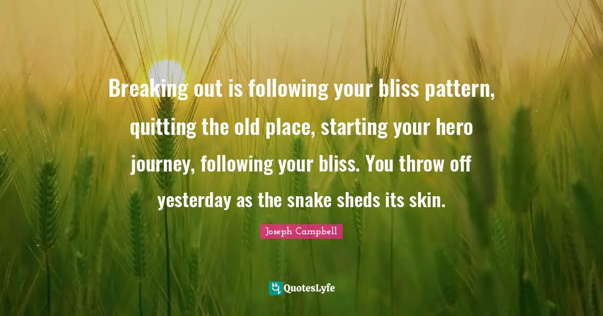 Breaking out is following your bliss pattern, quitting the old place, starting your hero journey, following your bliss. You throw off yesterday as the snake sheds its skin.