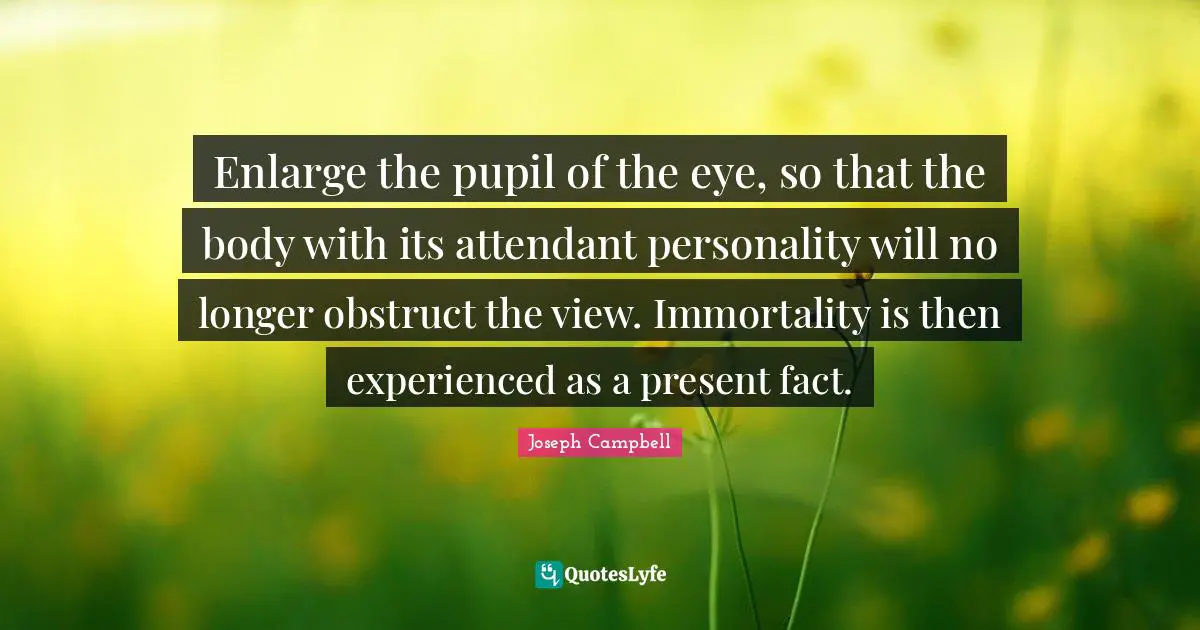 Enlarge the pupil of the eye, so that the body with its attendant personality will no longer obstruct the view. Immortality is then experienced as a present fact.