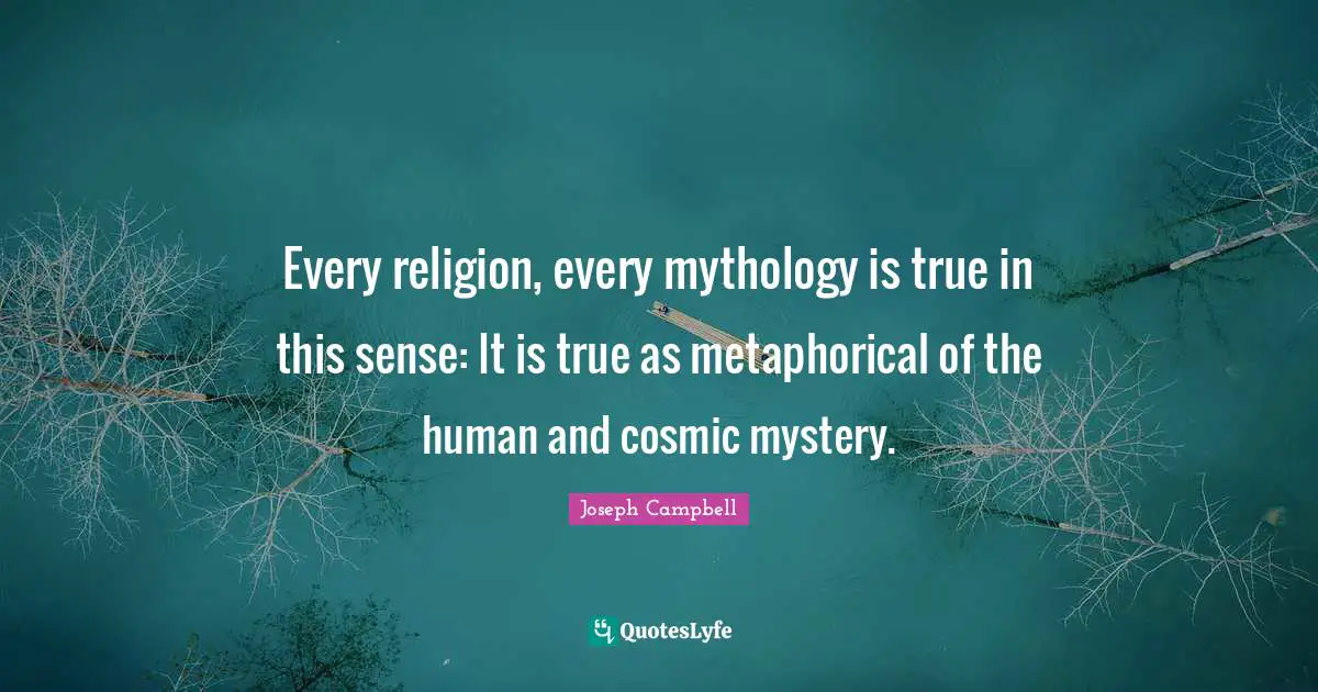 Every religion, every mythology is true in this sense: It is true as metaphorical of the human and cosmic mystery.