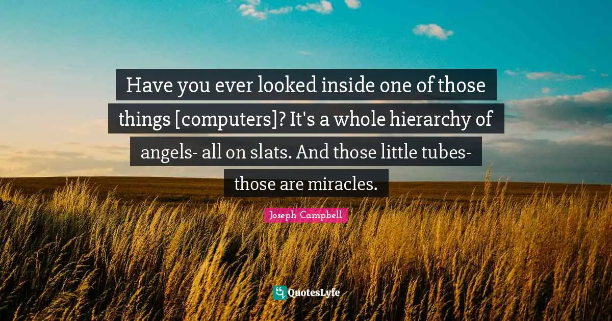 Have you ever looked inside one of those things [computers]? It's a whole hierarchy of angels- all on slats. And those little tubes-those are miracles.