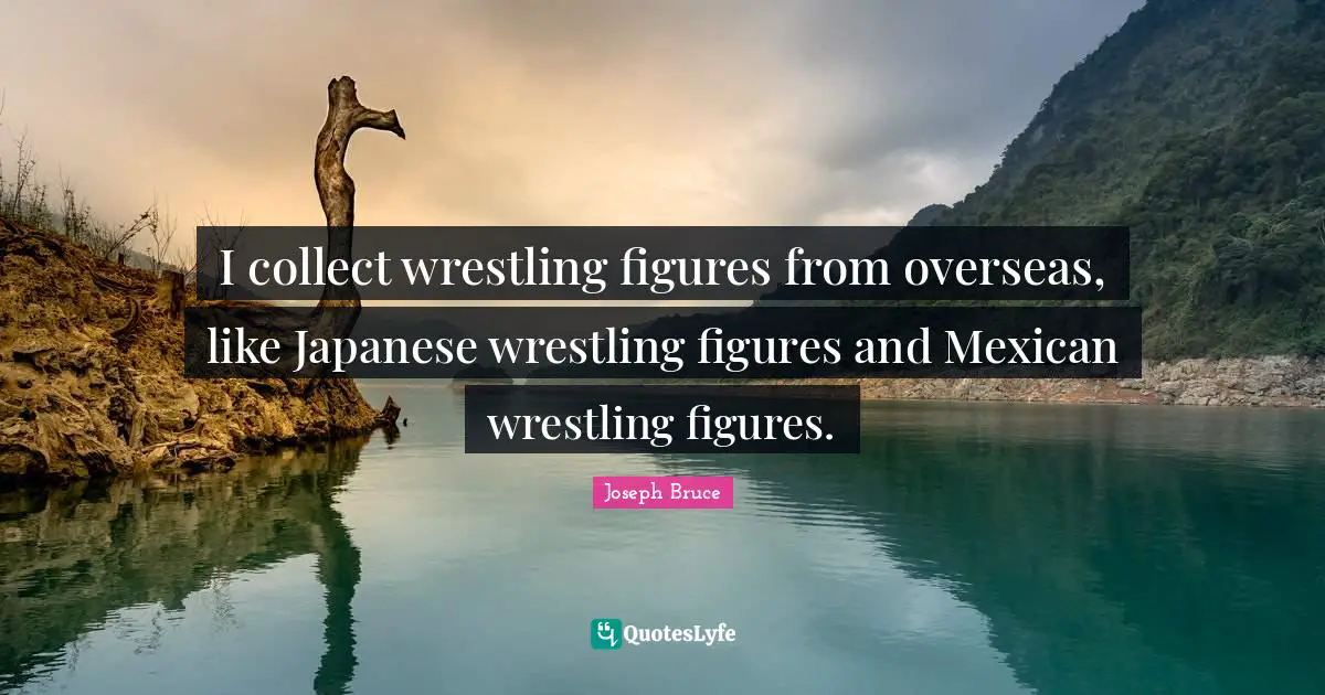 I collect wrestling figures from overseas, like Japanese wrestling figures and Mexican wrestling figures.