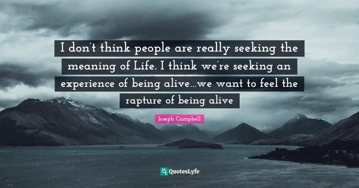 I don’t think people are really seeking the meaning of Life. I think we’re seeking an experience of being alive…we want to feel the rapture of being alive