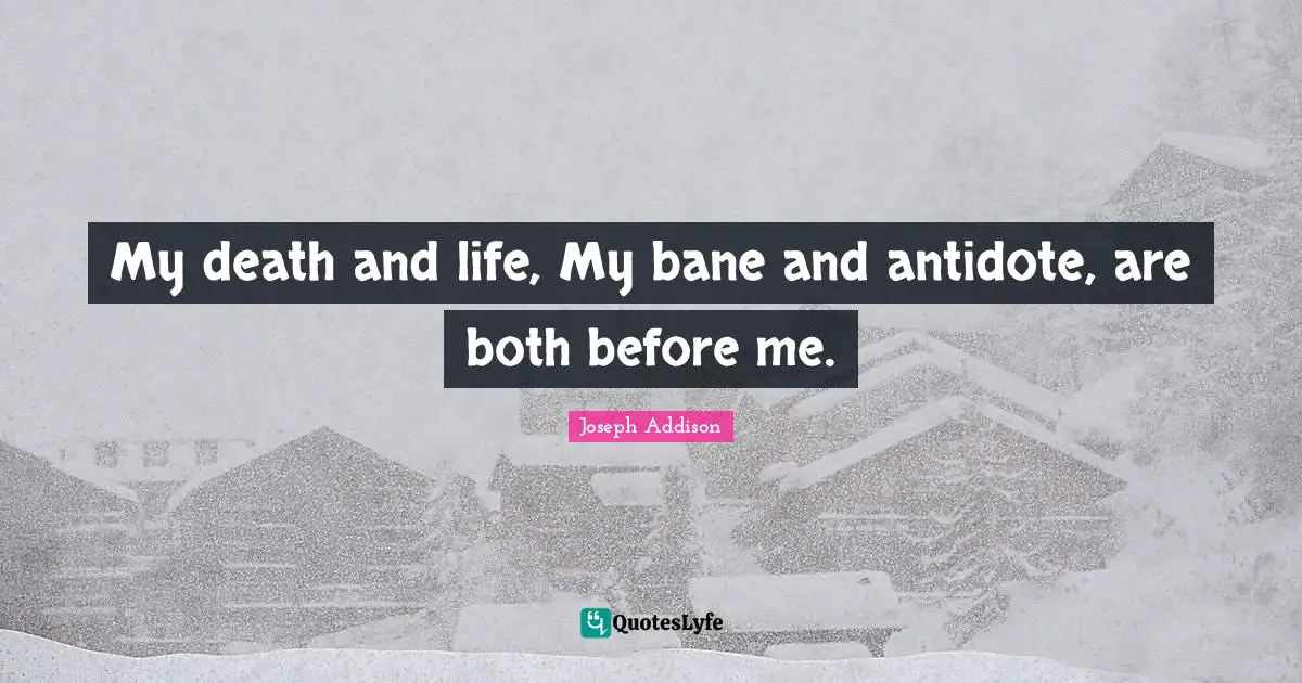 My death and life, My bane and antidote, are both before me.