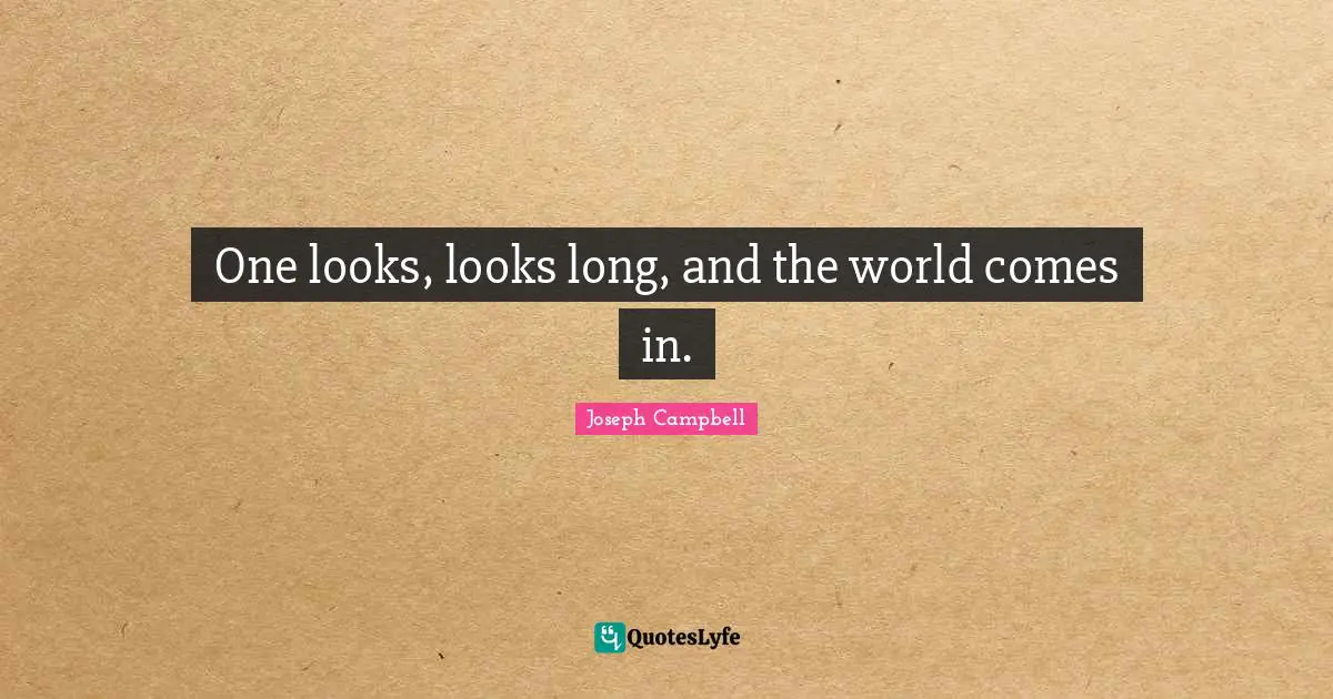 One looks, looks long, and the world comes in.