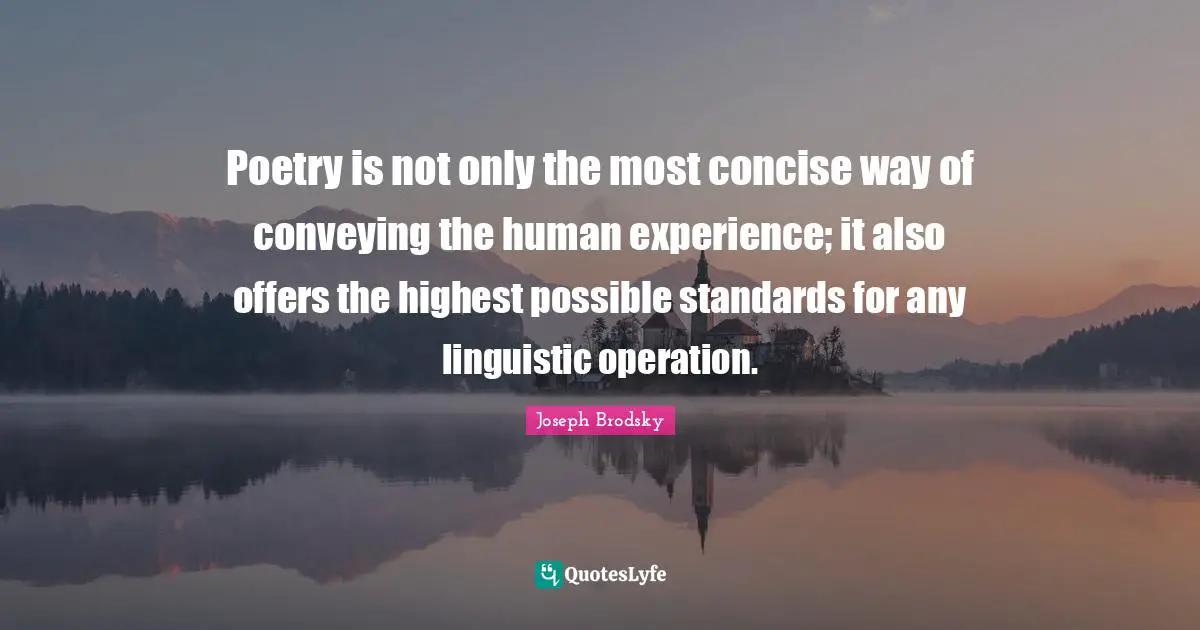 Poetry is not only the most concise way of conveying the human experience; it also offers the highest possible standards for any linguistic operation.