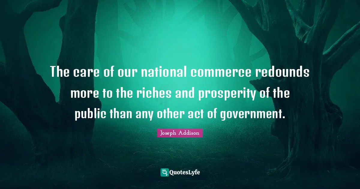 The care of our national commerce redounds more to the riches and prosperity of the public than any other act of government.