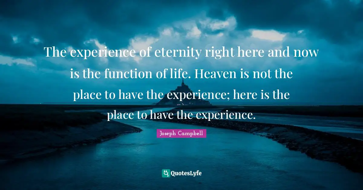The experience of eternity right here and now is the function of life. Heaven is not the place to have the experience; here is the place to have the experience.