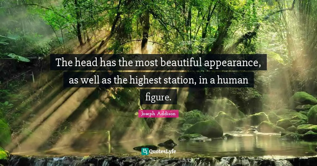 The head has the most beautiful appearance, as well as the highest station, in a human figure.