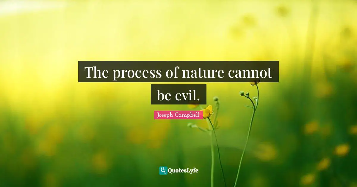The process of nature cannot be evil.