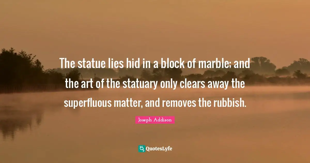 The statue lies hid in a block of marble; and the art of the statuary only clears away the superfluous matter, and removes the rubbish.