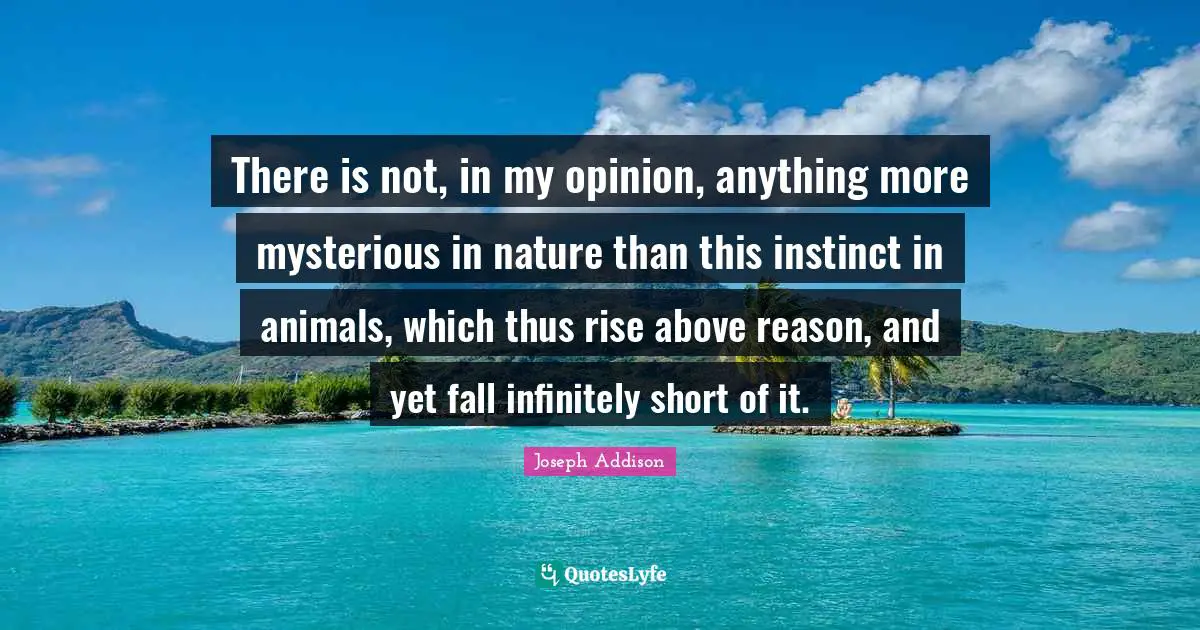 There is not, in my opinion, anything more mysterious in nature than this instinct in animals, which thus rise above reason, and yet fall infinitely short of it.