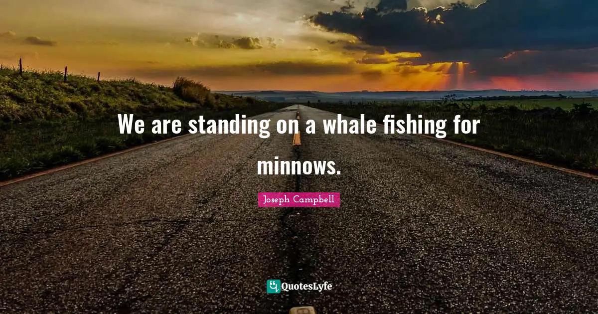 We are standing on a whale fishing for minnows.