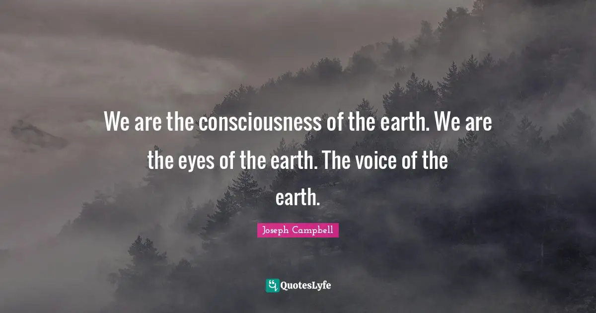 We are the consciousness of the earth. We are the eyes of the earth. The voice of the earth.