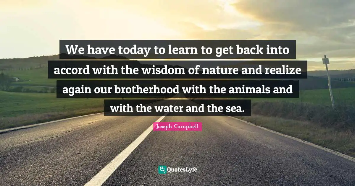 We have today to learn to get back into accord with the wisdom of nature and realize again our brotherhood with the animals and with the water and the sea.