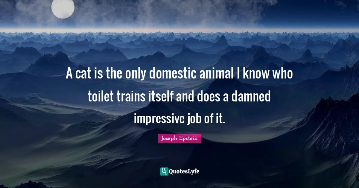 A cat is the only domestic animal I know who toilet trains itself and does a damned impressive job of it.