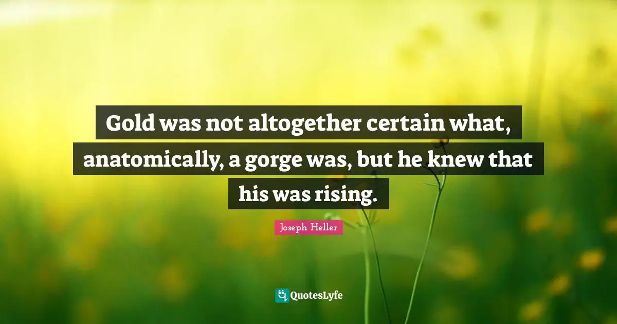 Gold was not altogether certain what, anatomically, a gorge was, but he knew that his was rising.