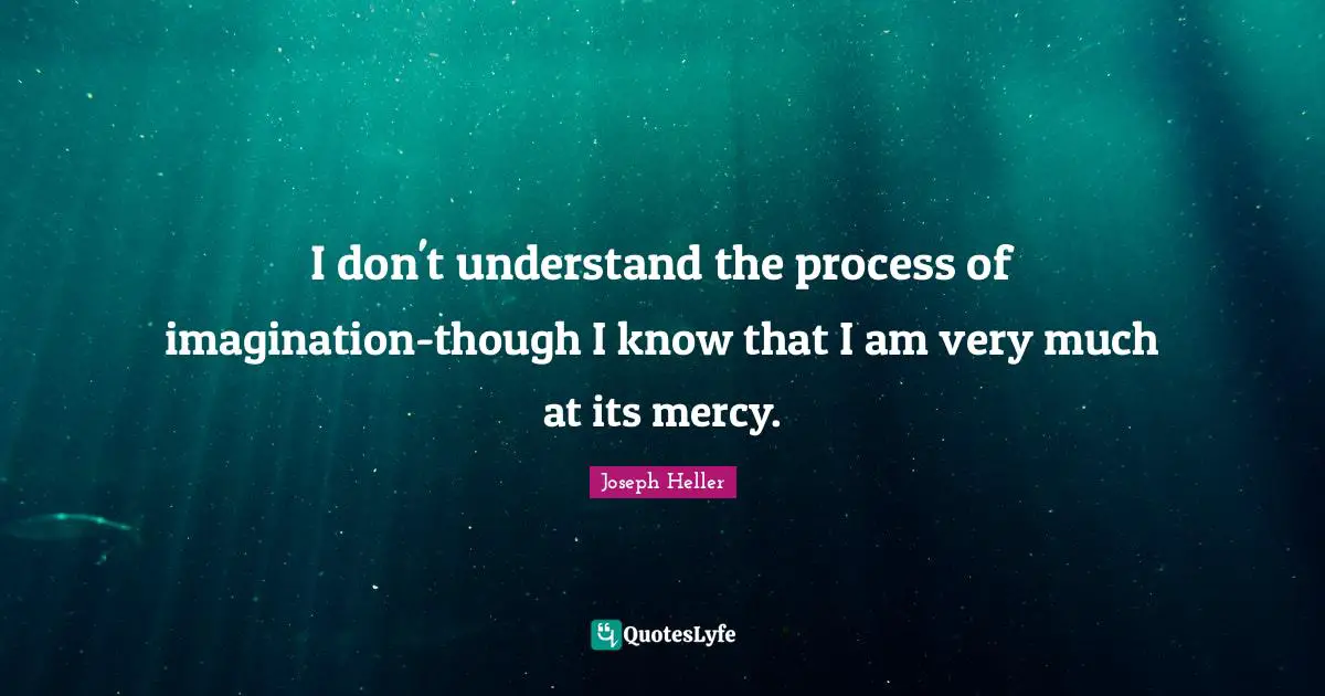 I don't understand the process of imagination-though I know that I am very much at its mercy.