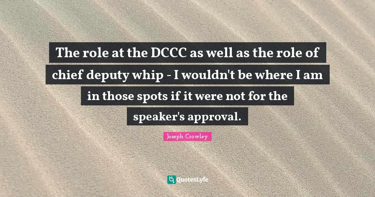 The role at the DCCC as well as the role of chief deputy whip - I wouldn't be where I am in those spots if it were not for the speaker's approval.