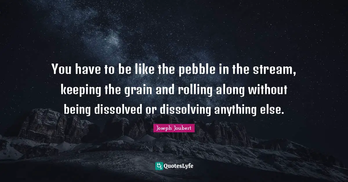 Pebbles Quotes: "You have to be like the pebble in the stream, keeping the grain and rolling along without being dissolved or dissolving anything else."