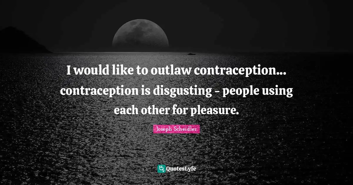 I would like to outlaw contraception... contraception is disgusting - people using each other for pleasure.