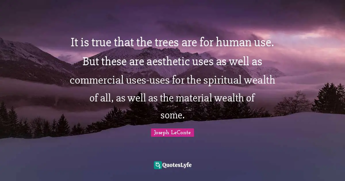 It is true that the trees are for human use. But these are aesthetic uses as well as commercial uses-uses for the spiritual wealth of all, as well as the material wealth of some.