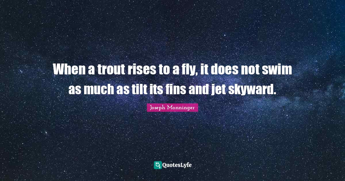 When a trout rises to a fly, it does not swim as much as tilt its fins