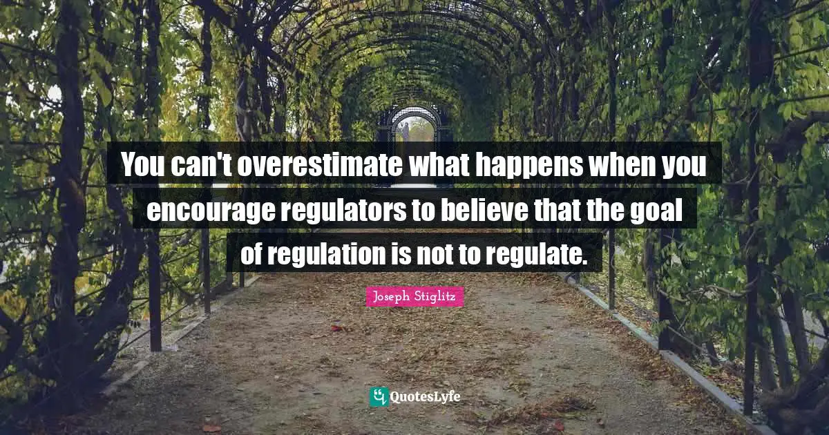You can't overestimate what happens when you encourage regulators to believe that the goal of regulation is not to regulate.