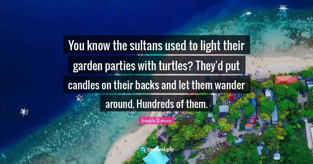 You know the sultans used to light their garden parties with turtles? They'd put candles on their backs and let them wander around. Hundreds of them.
