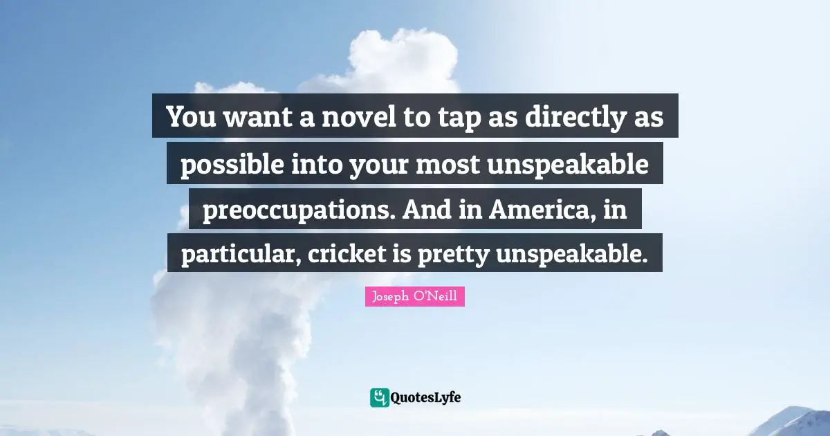 You want a novel to tap as directly as possible into your most unspeakable preoccupations. And in America, in particular, cricket is pretty unspeakable.